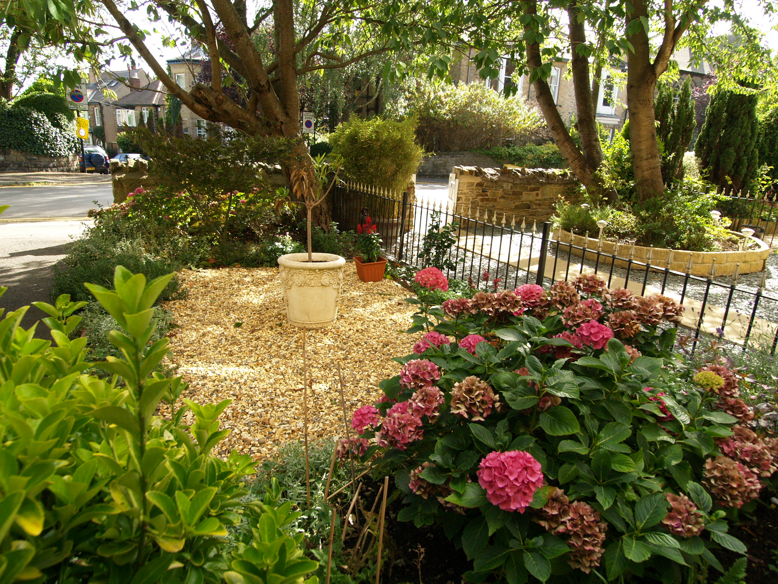 Endcliffe Vale Road 10 Front garden .jpg